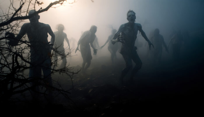 What Should VCs Do With Zombie Companies?